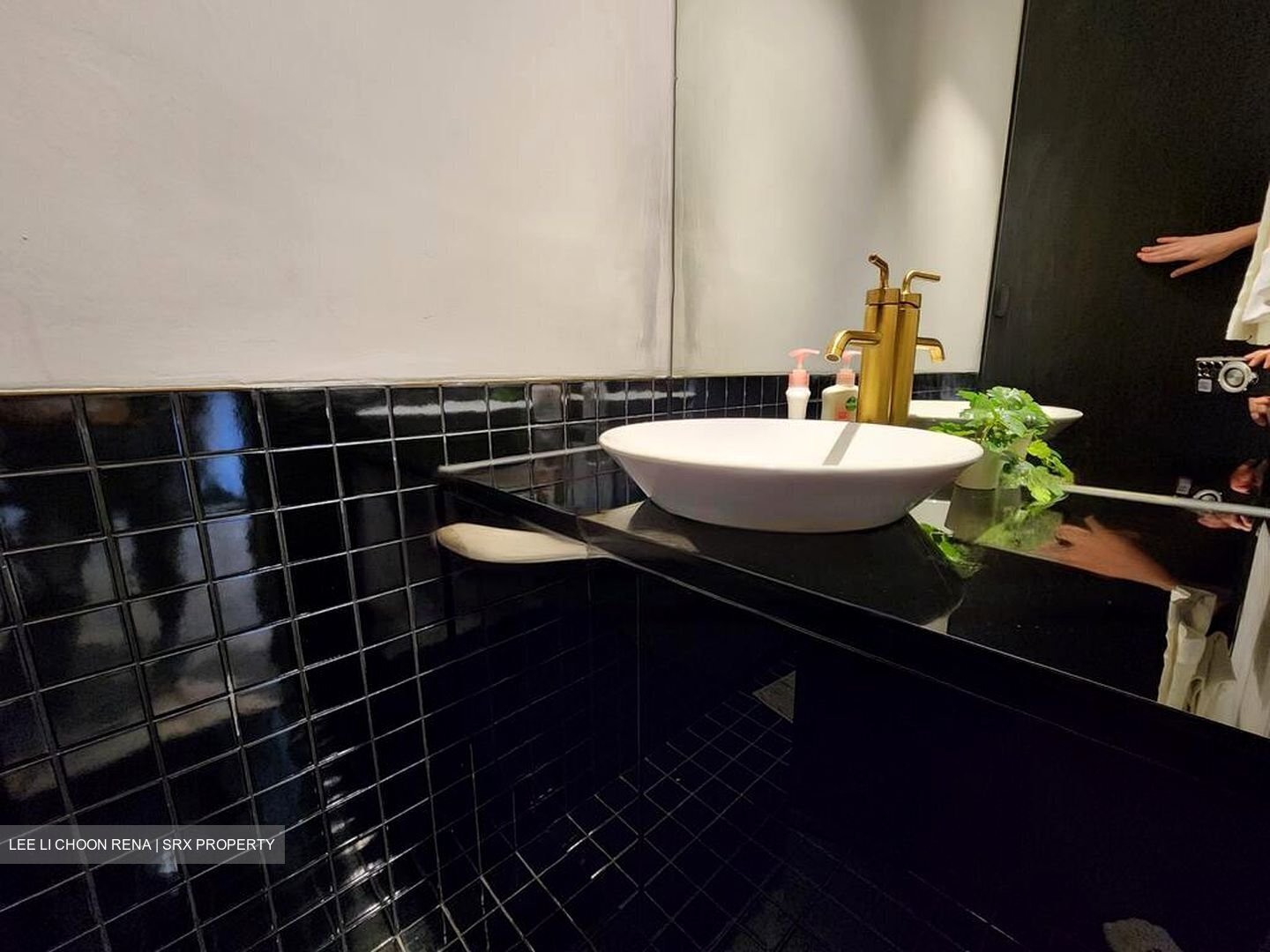 Cairnhill Plaza (D9), Apartment #457027731